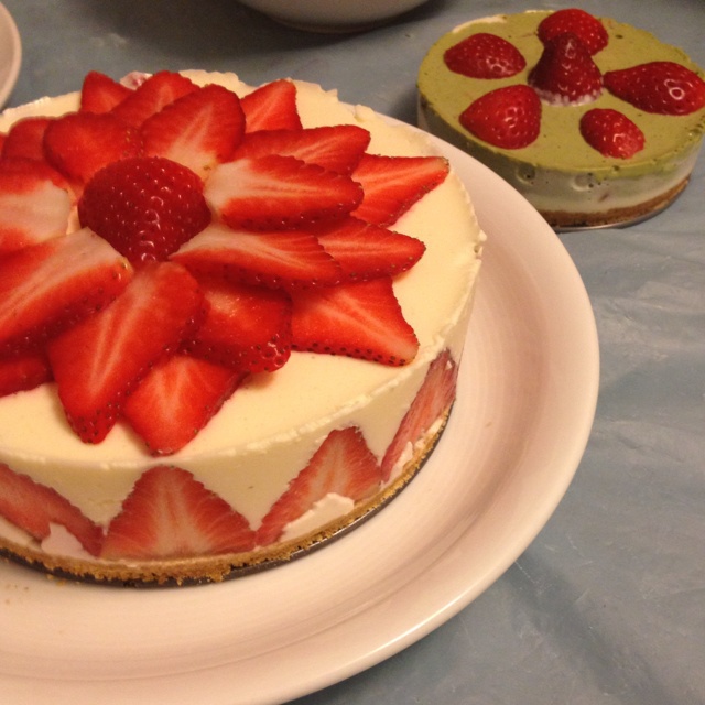 冻酸奶芝士蛋糕