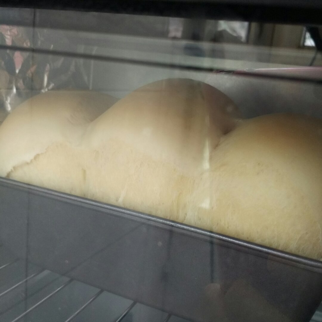 夺命软吐司(๑´ڡ`๑)超软拉丝极速方便的一次发酵吐司