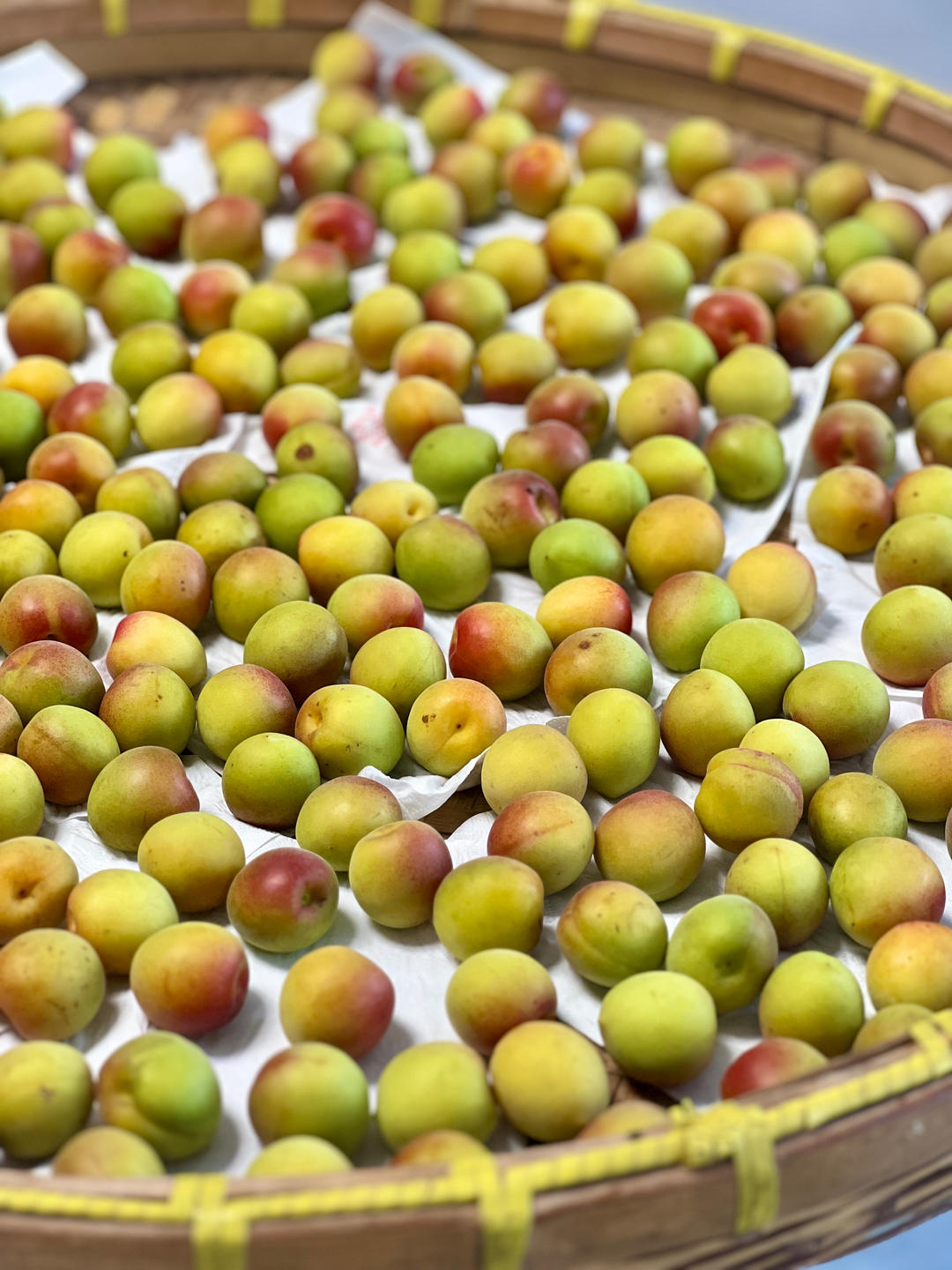 温酒泡茶