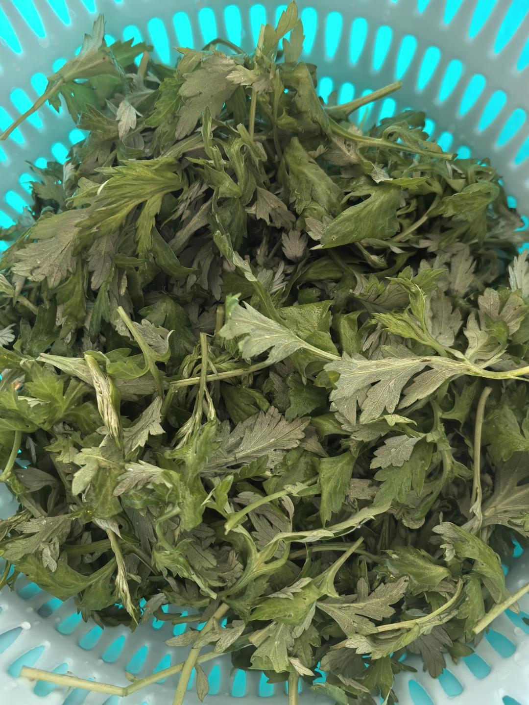Q糯的艾草·青团（咸蛋肉松）