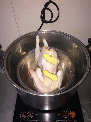 粤式葱油手撕鸡的做法 步骤2