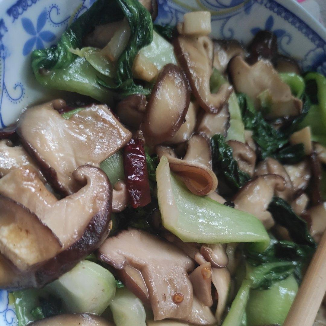 青菜烧香菇