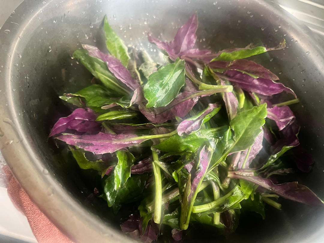 姜丝炒血皮菜