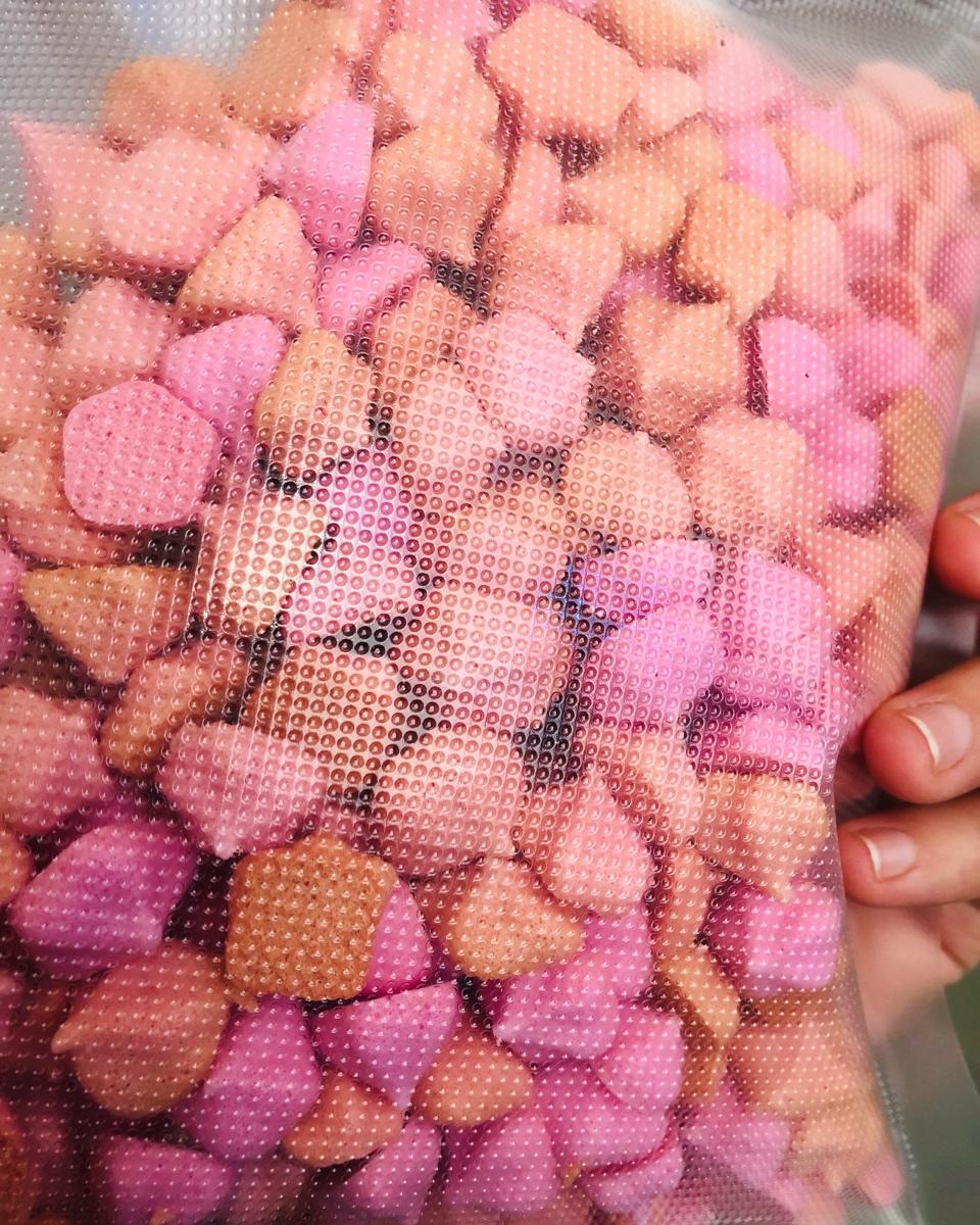 迷人的火龙果溶豆酸奶溶豆宝宝辅食