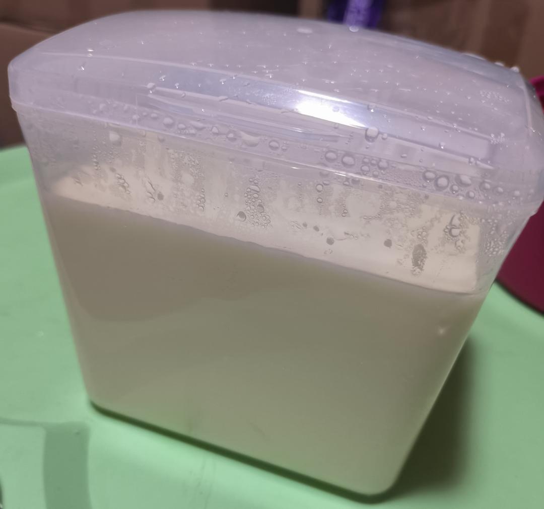 157 我的自制酸奶记录C10N5