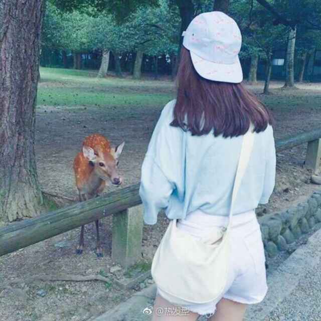 宣夏
