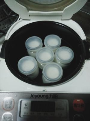 自已在家做酸奶 超详解 (不用酸奶机和菌种)的做法 步骤9
