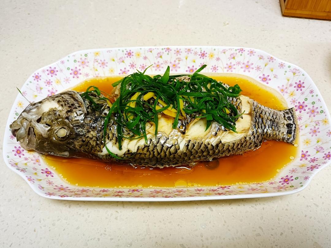 清蒸淡水石斑鱼的做法