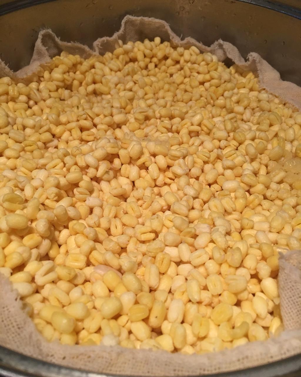 绿豆糕