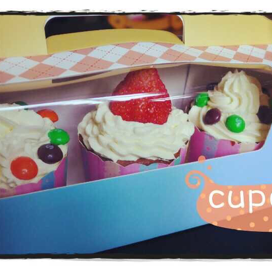 不会回缩的纸杯蛋糕--海氏烤箱定制