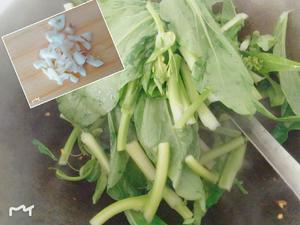 蒜蓉白菜苔的做法 步骤1