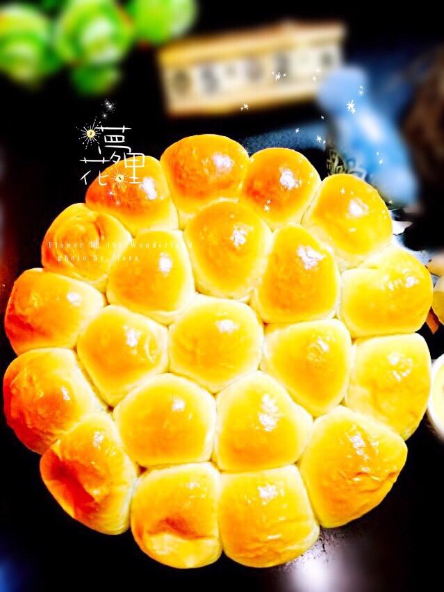 奶酪金钱小面包