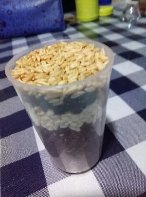 破壁机食谱:红豆薏仁米糊的做法 步骤1