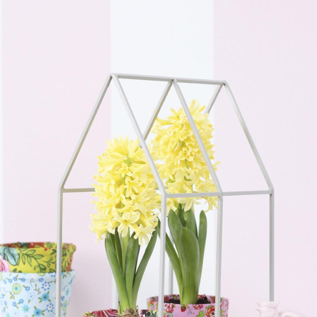 用户名薇力无边