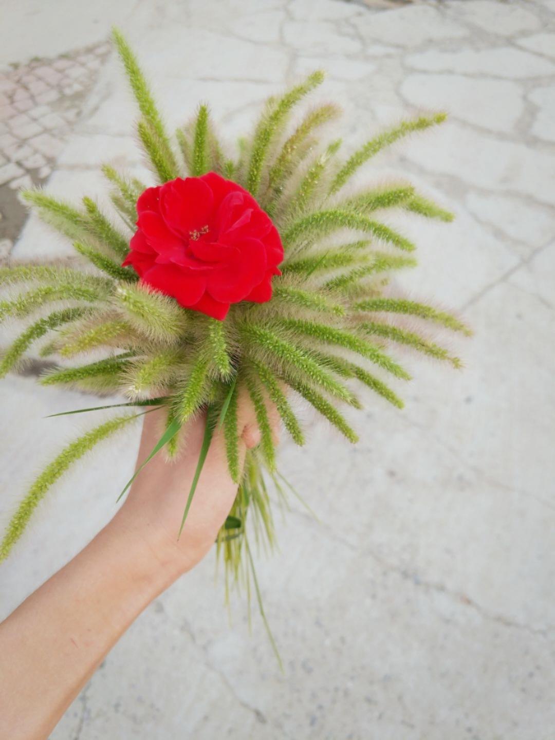 为爱冲锋的战士