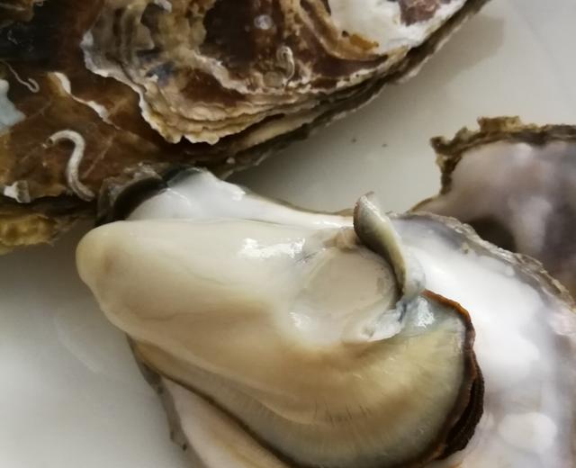 清蒸海蛎子，牡蛎的做法