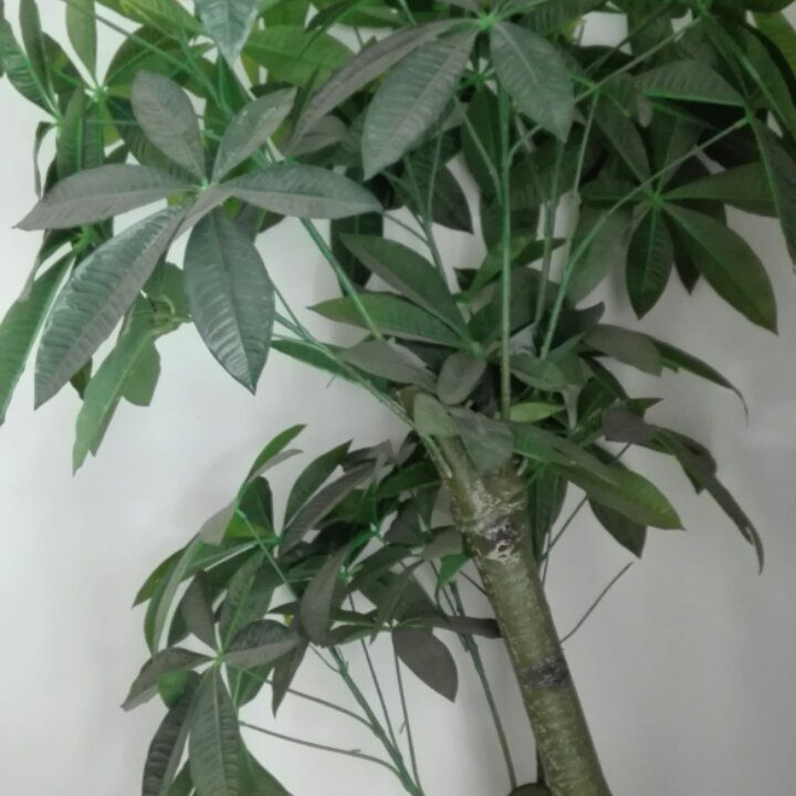 手机用户1062_7q6s