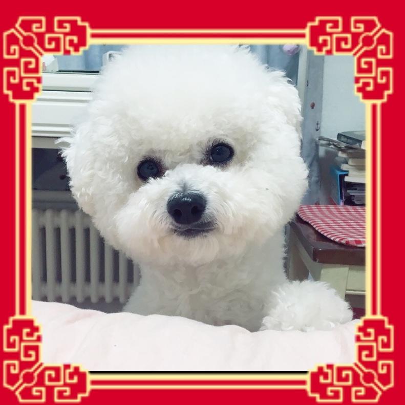 咪蔻妈妈