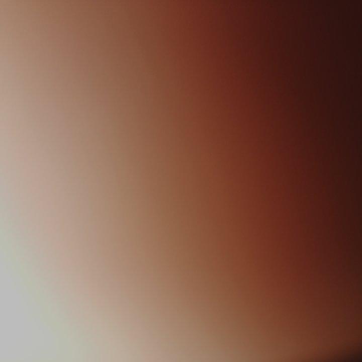爆腌鸡腿