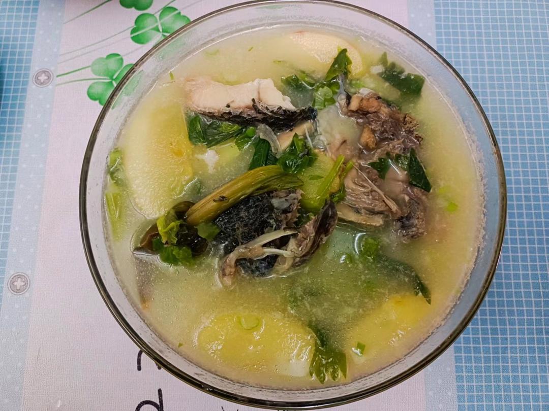 超鲜的奶白黑鱼汤