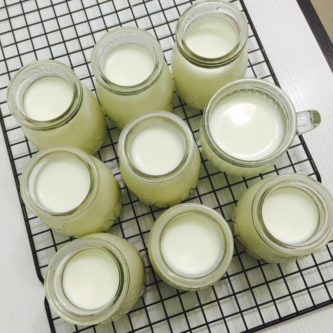 自制健康老酸奶 （奶粉版）的做法 步骤5