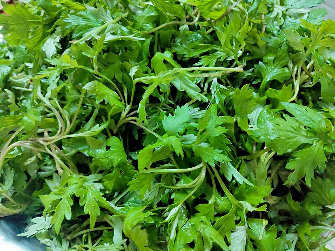 绿油油的客家艾糍