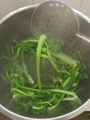 苔菜肉末粉丝煲【老爸拿手菜】的做法 步骤3