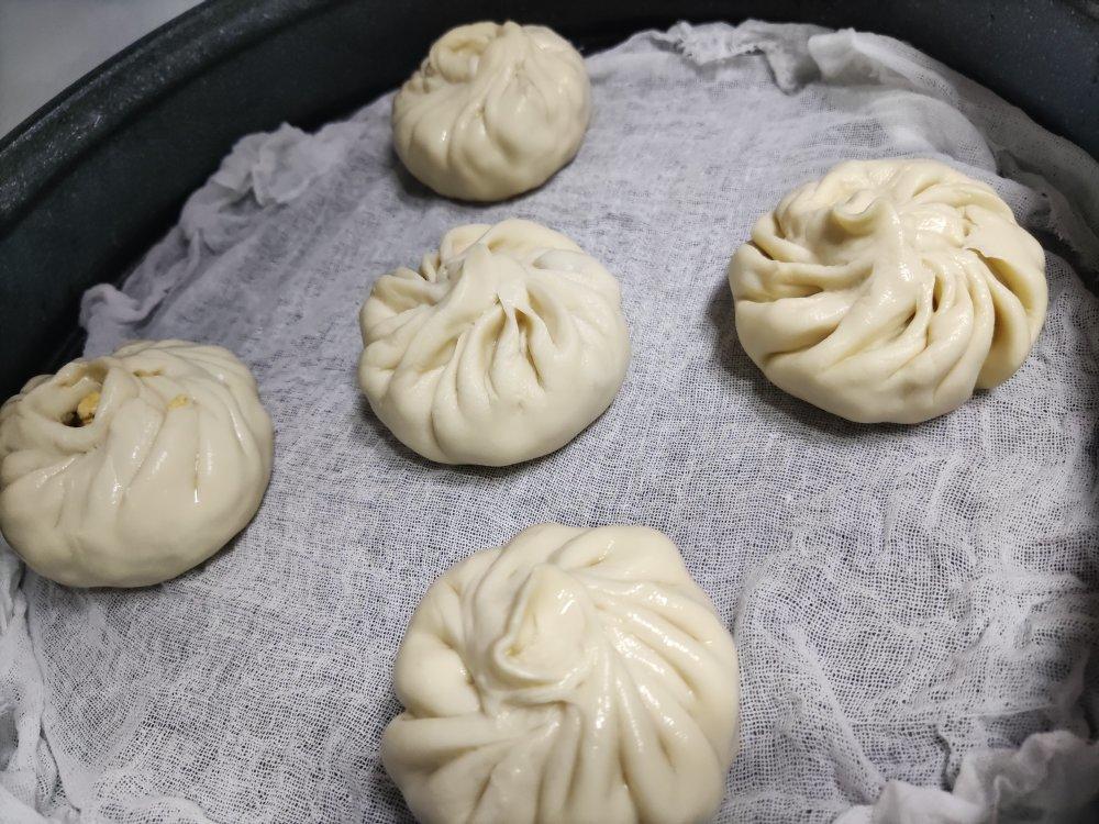 一次发酵肉包子