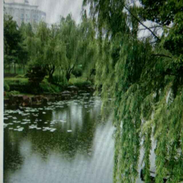 雨润清风-2
