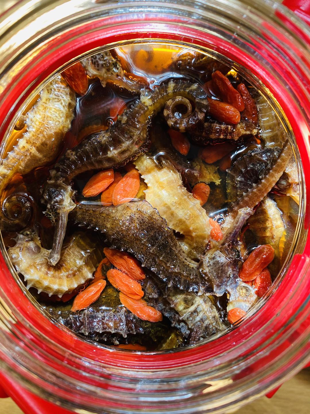 泡酒处理也是极好的99用料枸杞200克海马400克高粱酒4瓶海马枸杞酒