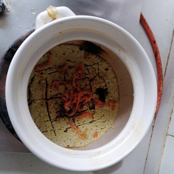 炖鸡蛋｜比布丁还嫩