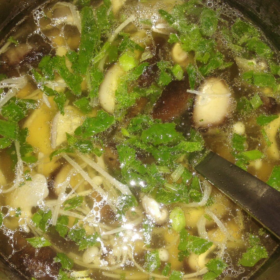 新鲜菌汤（蘑菇汤）