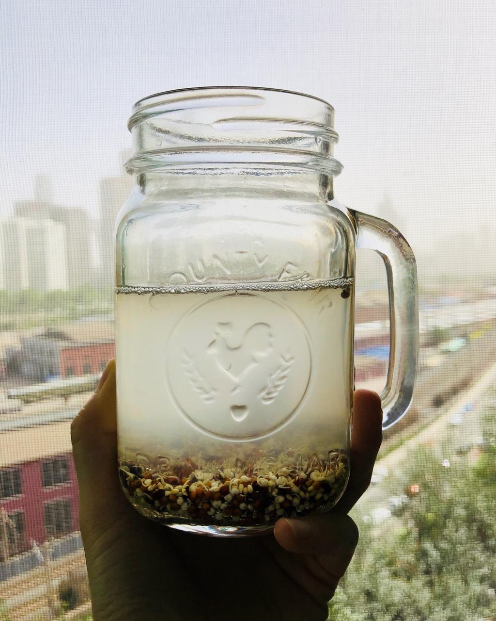Rejuvelac发芽谷物益生菌水丨发酵·饮品