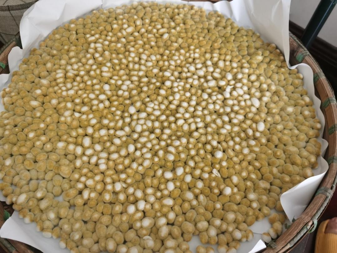河南西瓜酱豆