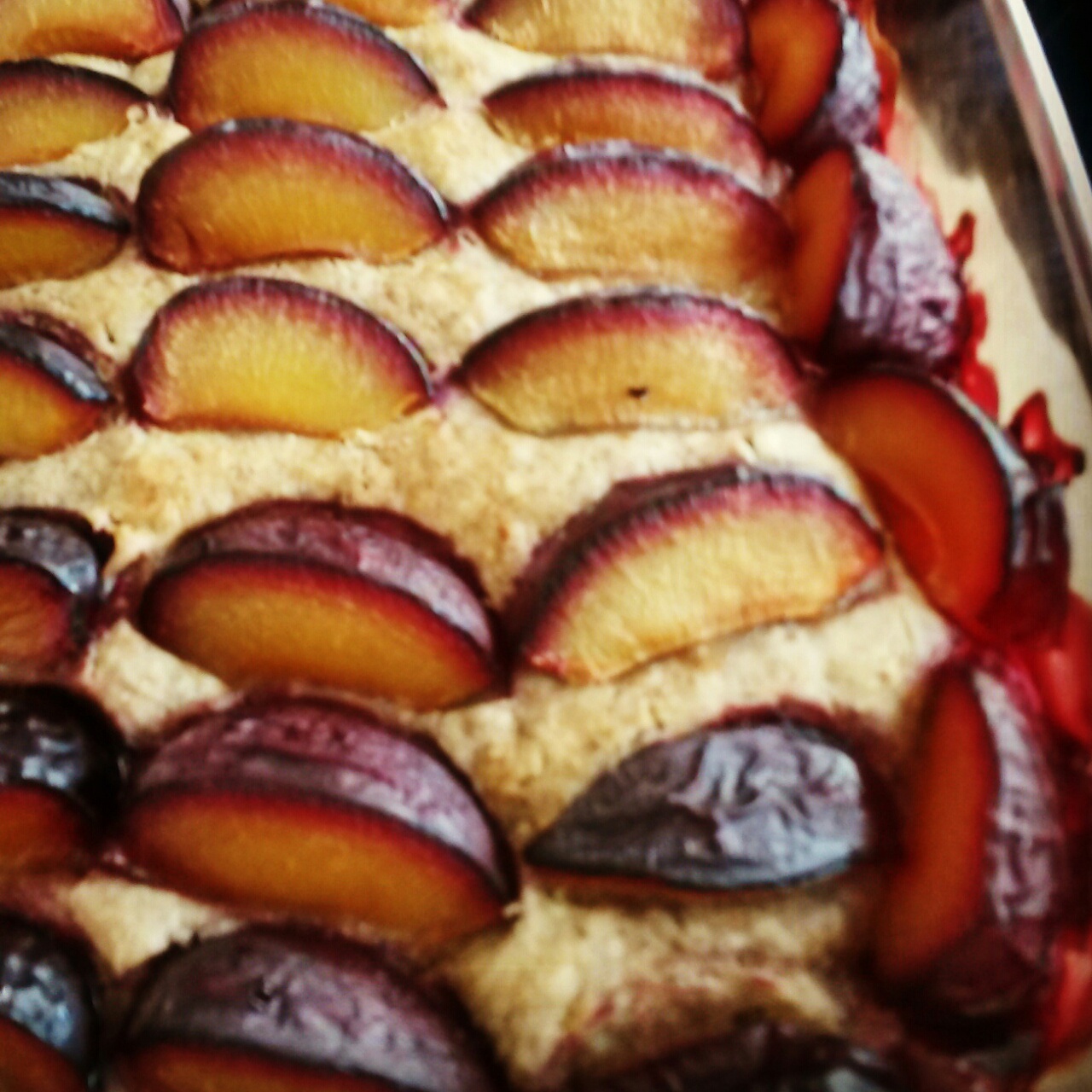 德式黑布林馅饼