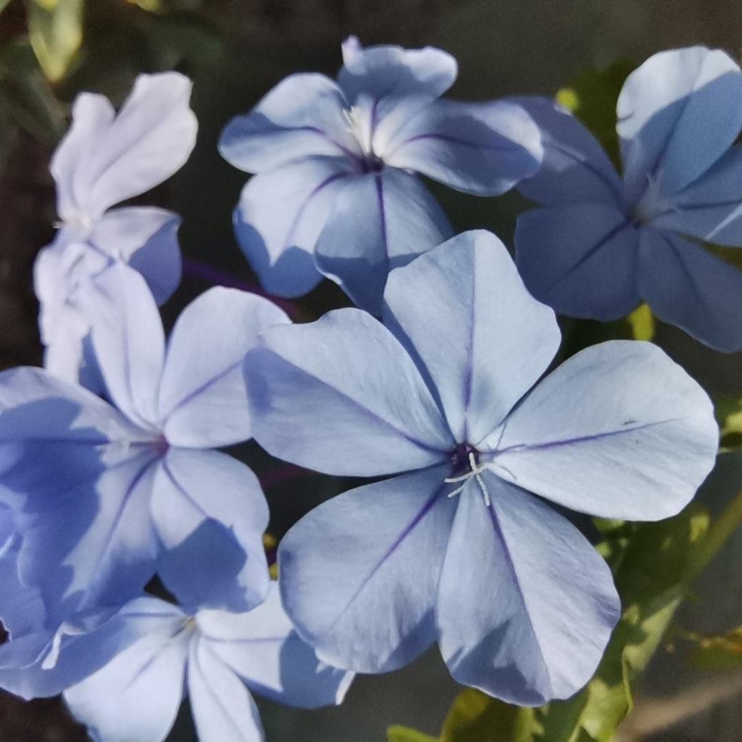 爱下厨房的娜娜