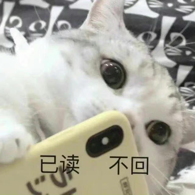 西湖王霸霸
