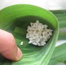 豆沙粽子的做法 步骤6