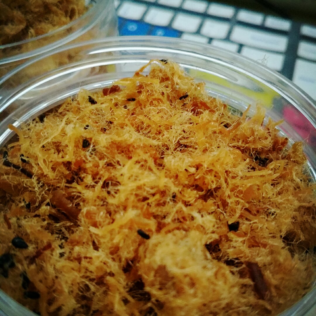 0失败面包机版肉松