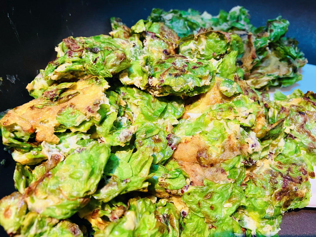 【榆钱炒蛋】树上野菜｜咬一口春日清甜！
