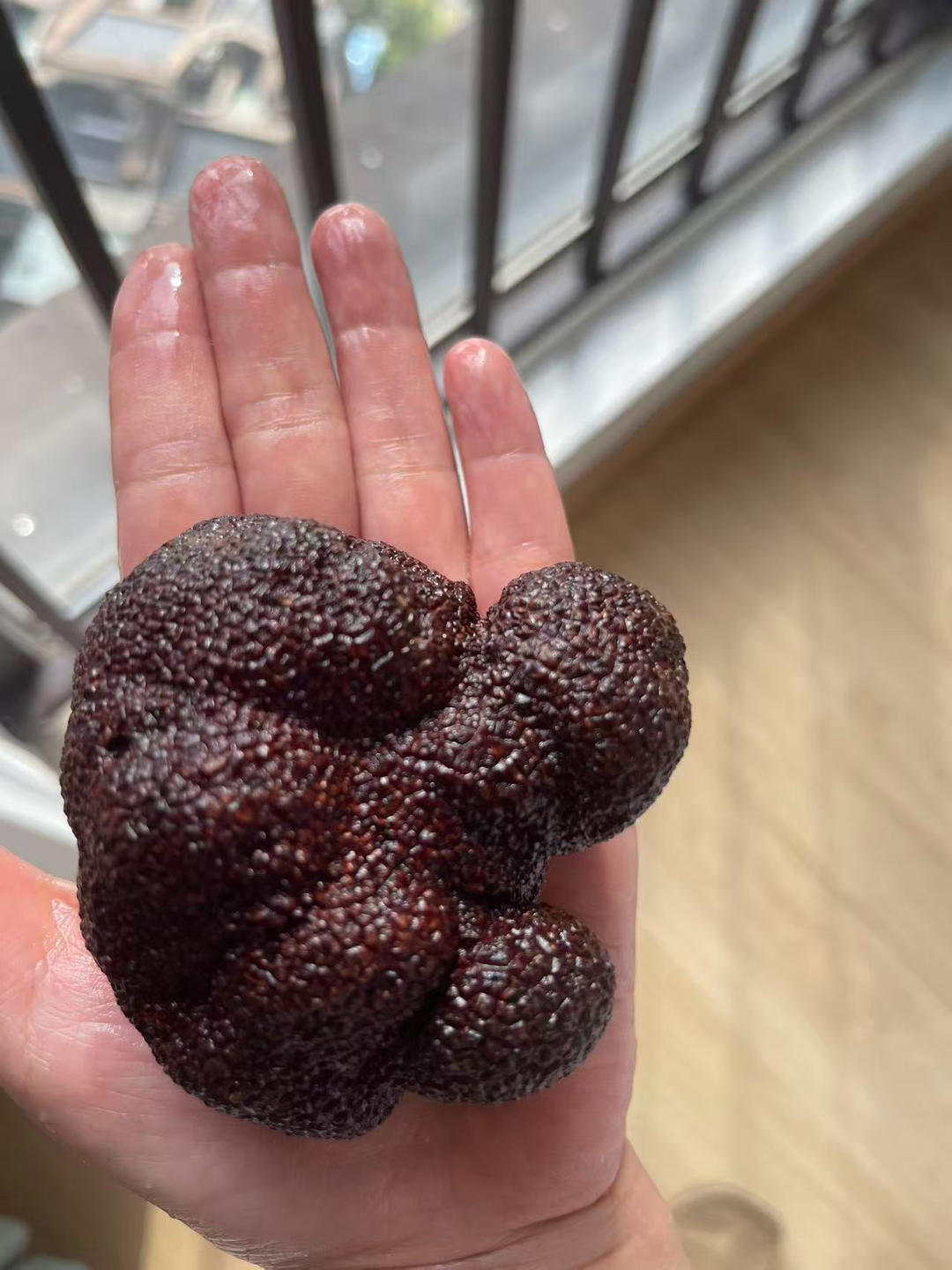黑松露炖鸡汤