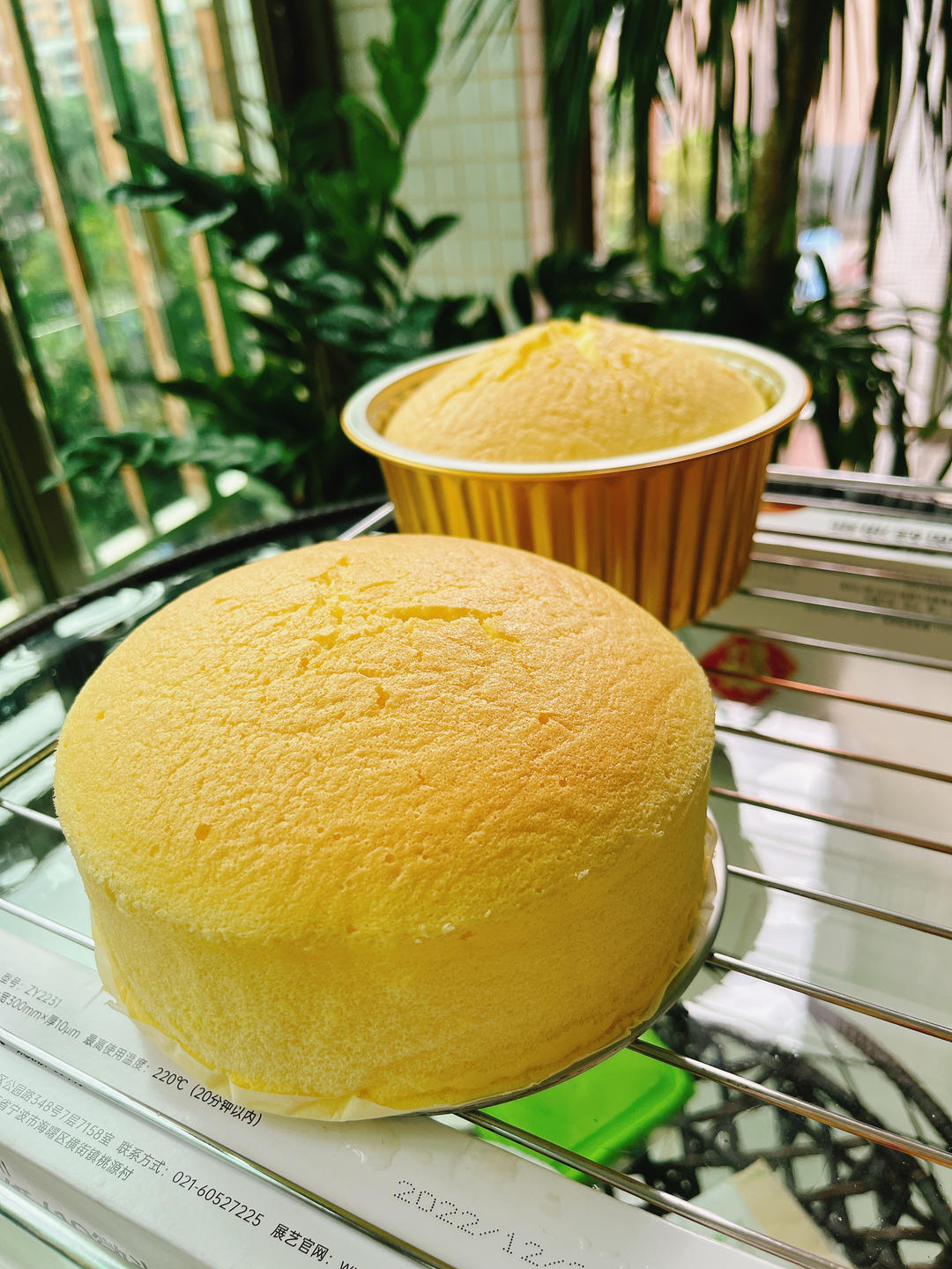 堪比柯基屁股
爆浆芝士🧀古早蛋糕
