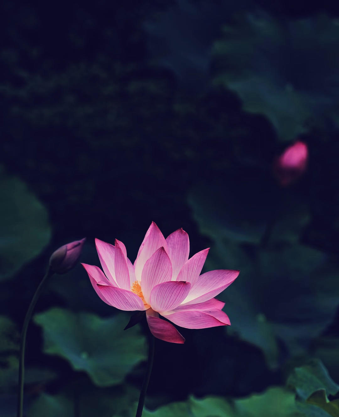 闻思修行
