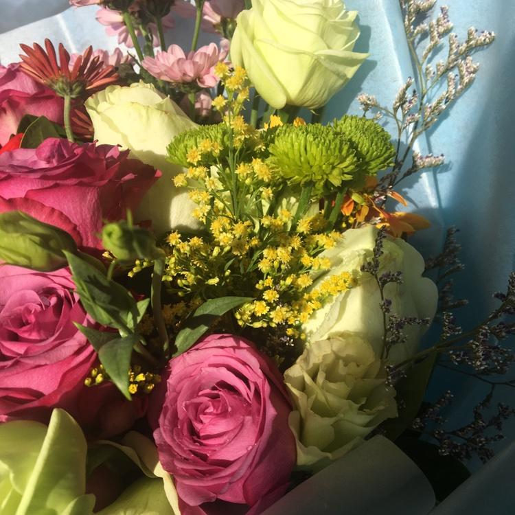 手机用户6818_3p4c