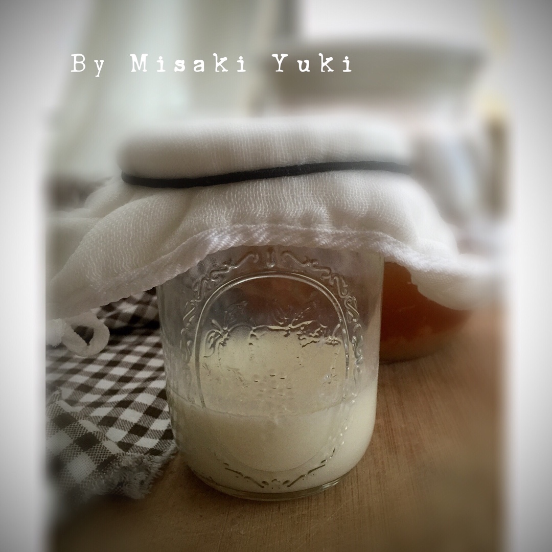 开菲尔酸奶喂养详攻略（milk kefir）丨发酵·奶类