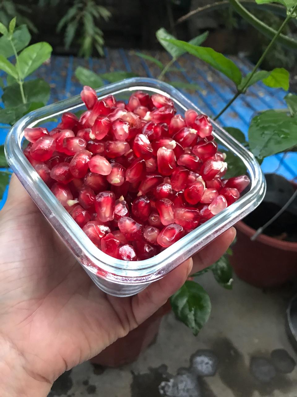 留住这一刻
