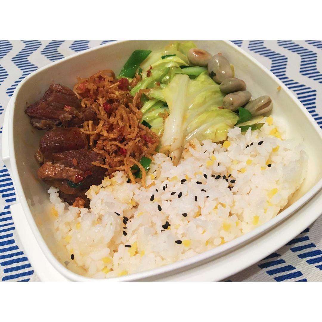 饲养员的日常便当