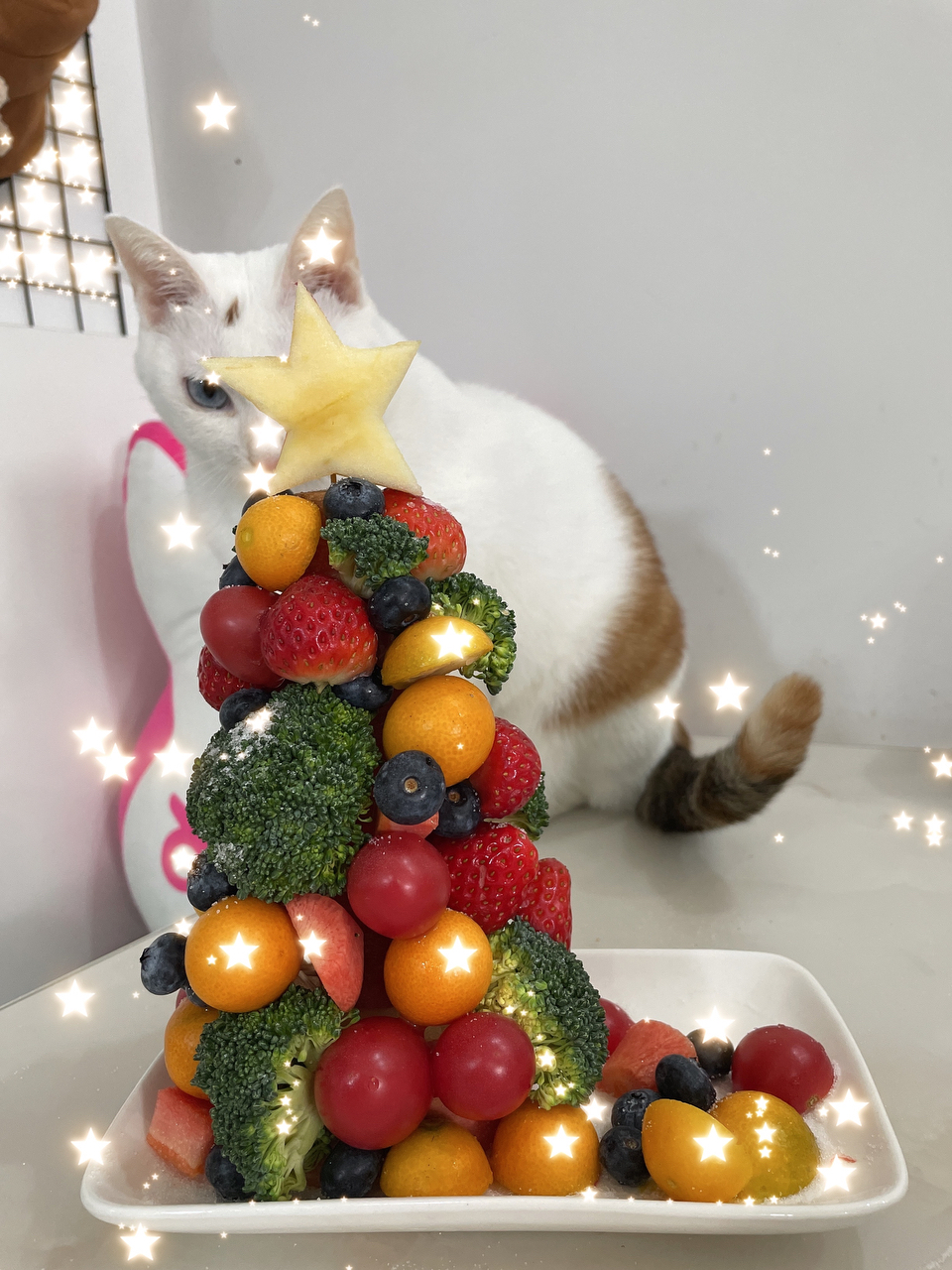 【🎄水果圣诞树】