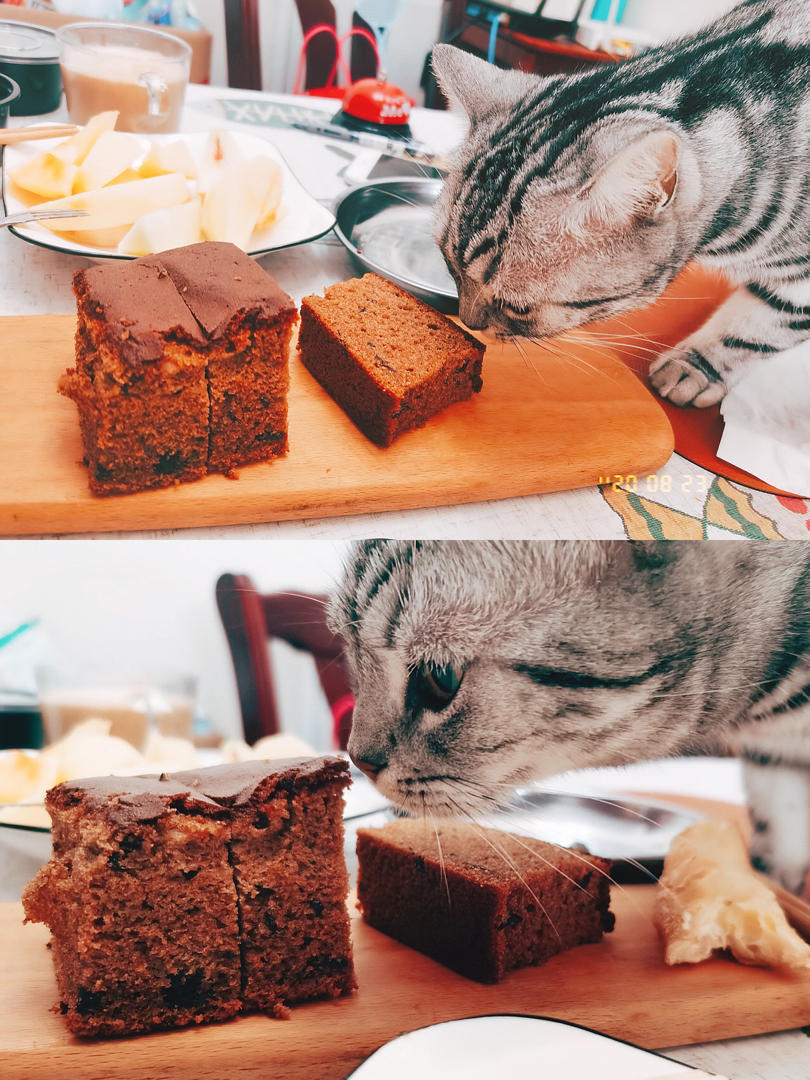 五道口枣糕王拜拜（仅三步、超详细、100%成功）