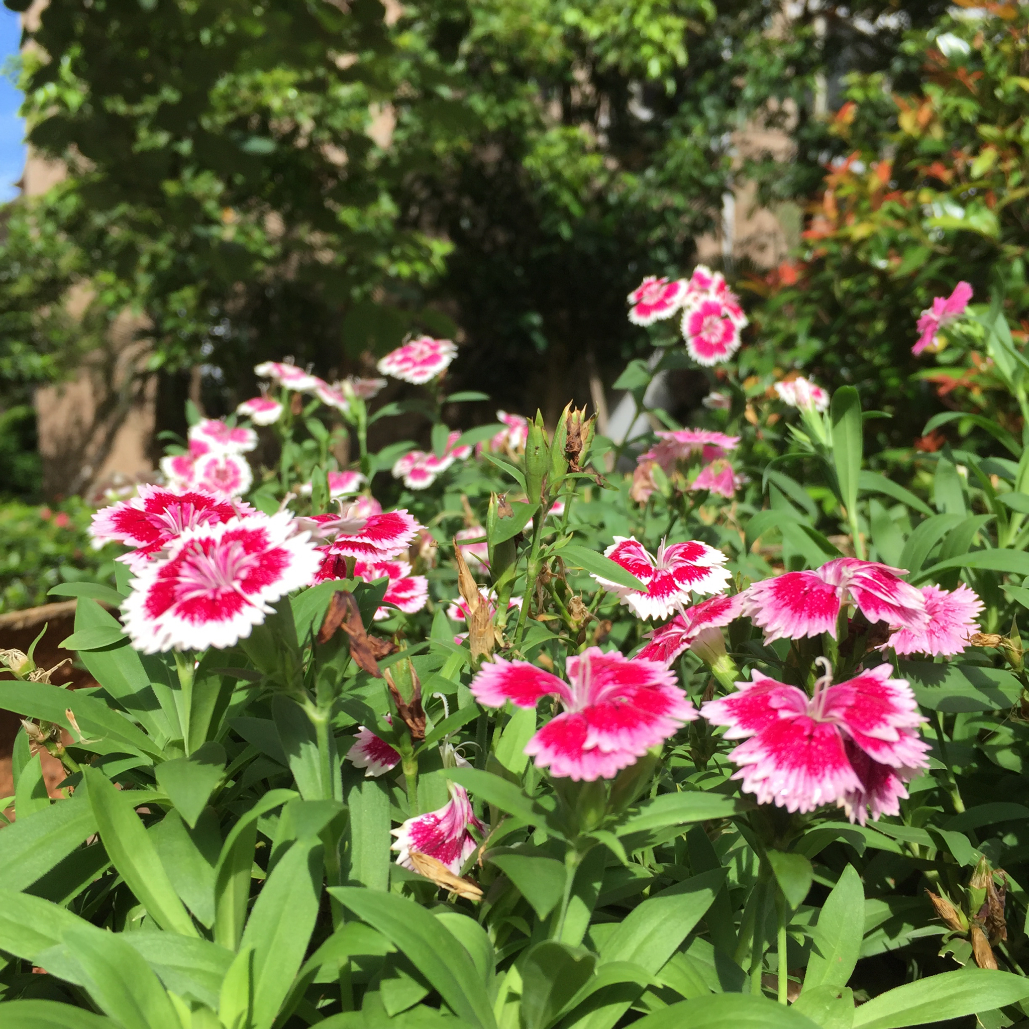 早餐•2016年6月26日